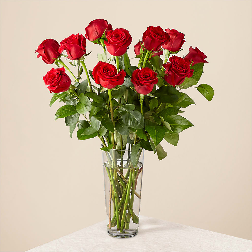 Long Stem Red Rose Bouquet – Harris Teeter, Matthews NC