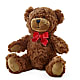 Adorable Plush Bear – Harris Teeter, Matthews NC