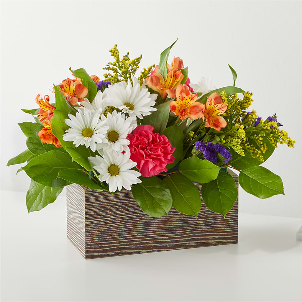 Oopsie Daisy Box Bouquet – Harris Teeter, Matthews NC