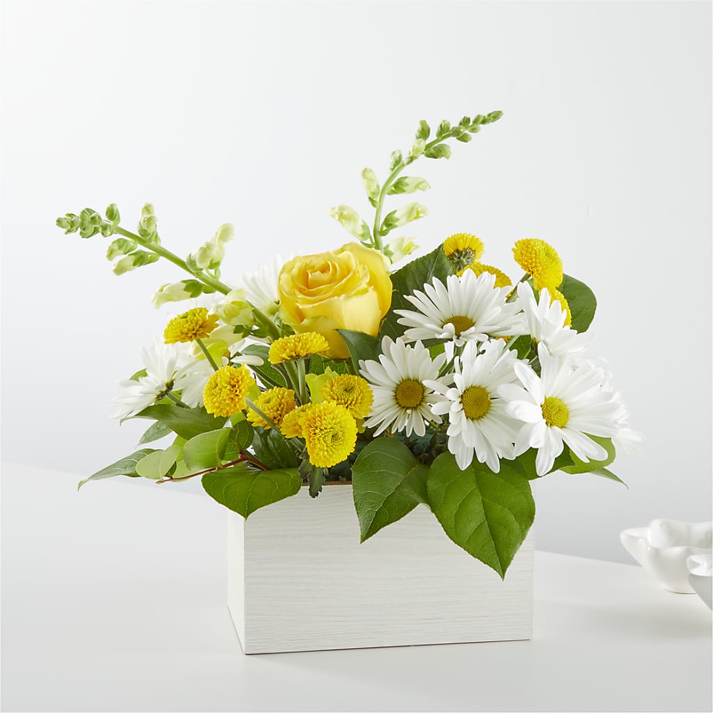 Sun Salutation Box Bouquet – Harris Teeter, Matthews NC