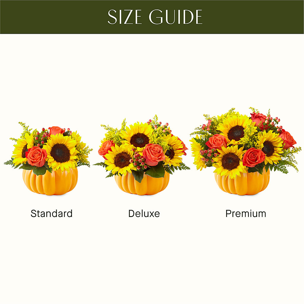 Pick of the Patch Pumpkin Bouquet – Harris Teeter, Matthews NC