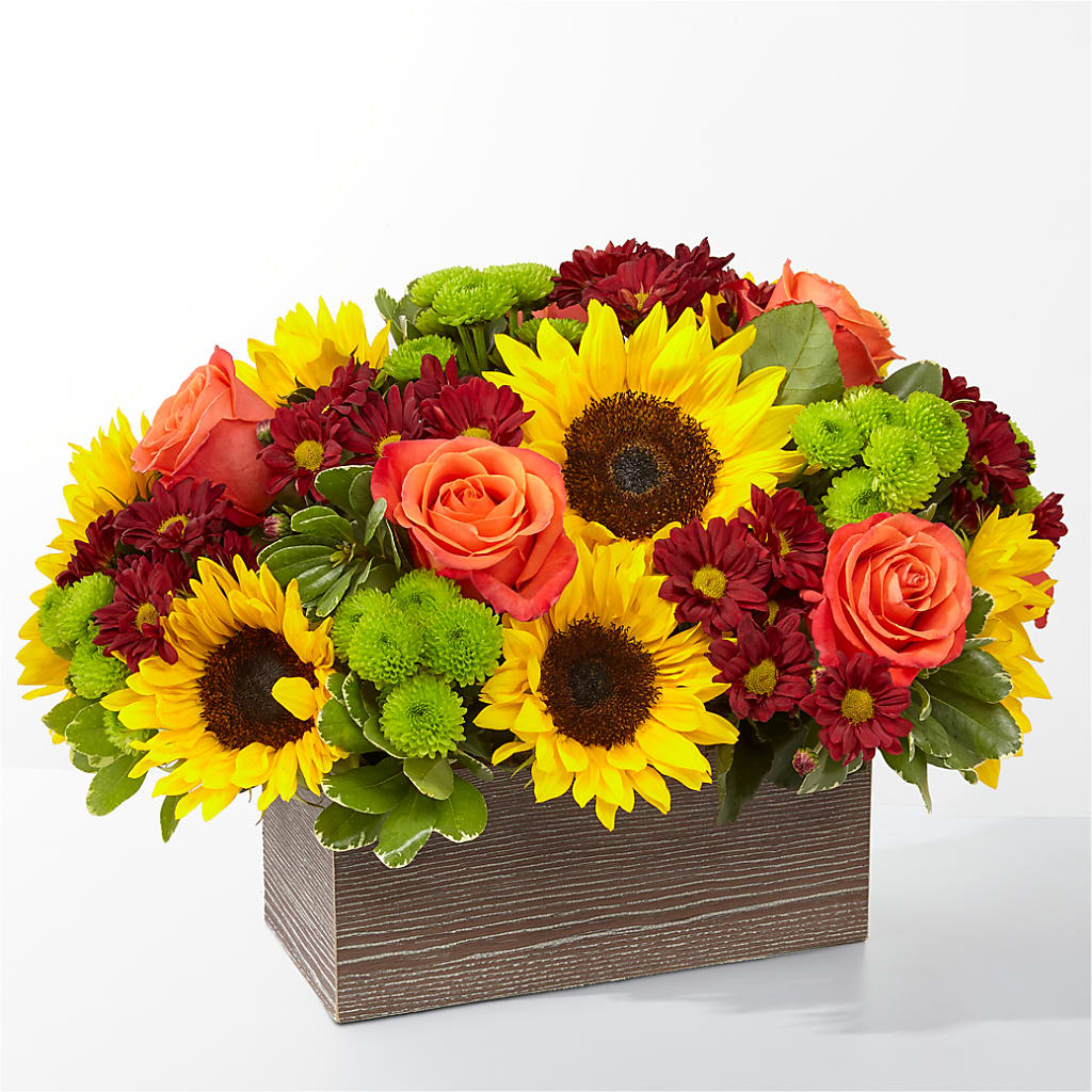 Happy Harvest Garden – Harris Teeter, Matthews NC