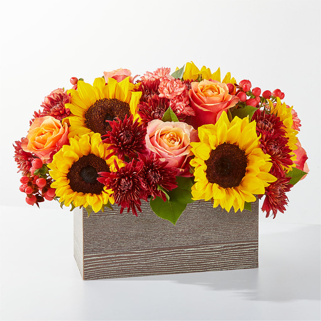 Fresh Cider Bouquet – Harris Teeter, Matthews NC