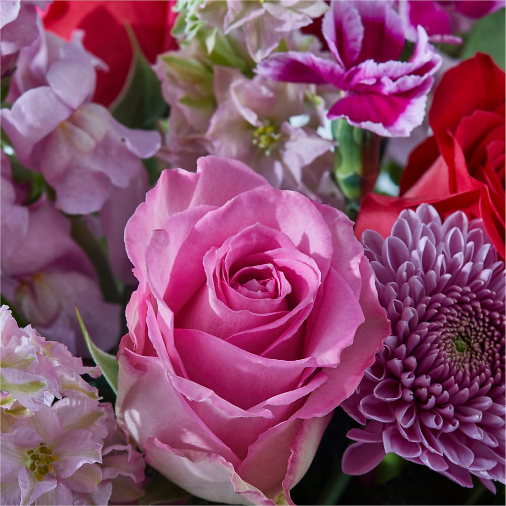 Better Together - A Luxury Florist Original – Harris Teeter, Matthews NC