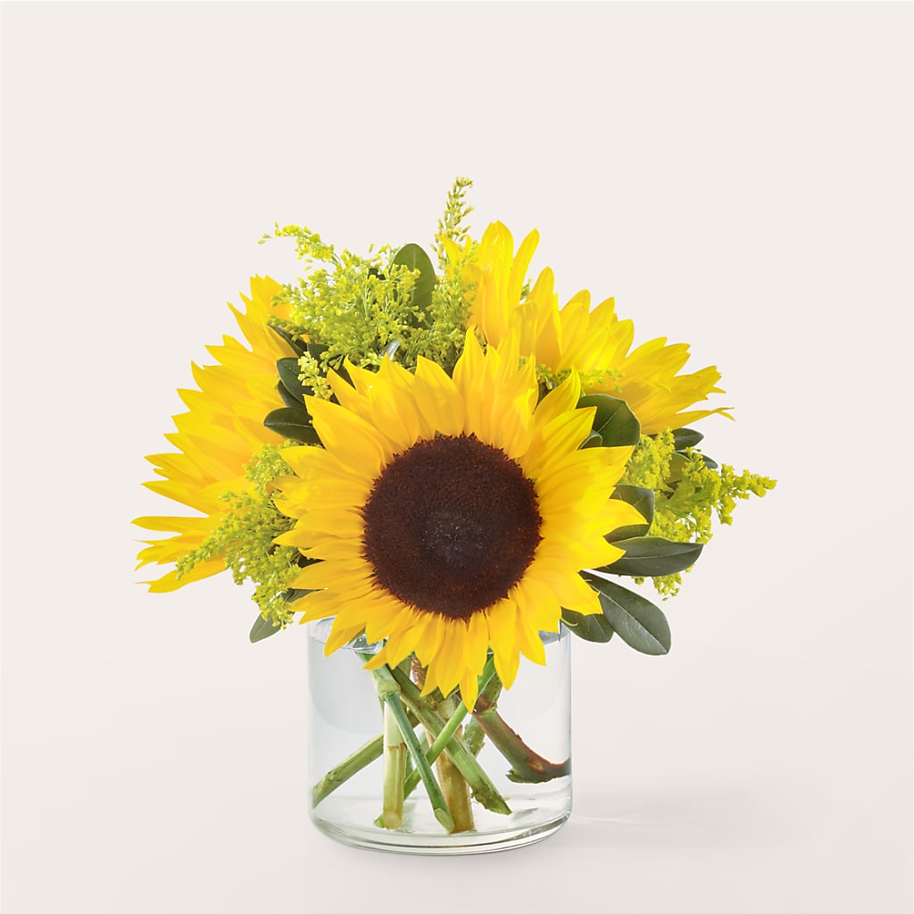 Beaming Sunflower Bouquet – Harris Teeter, Matthews NC