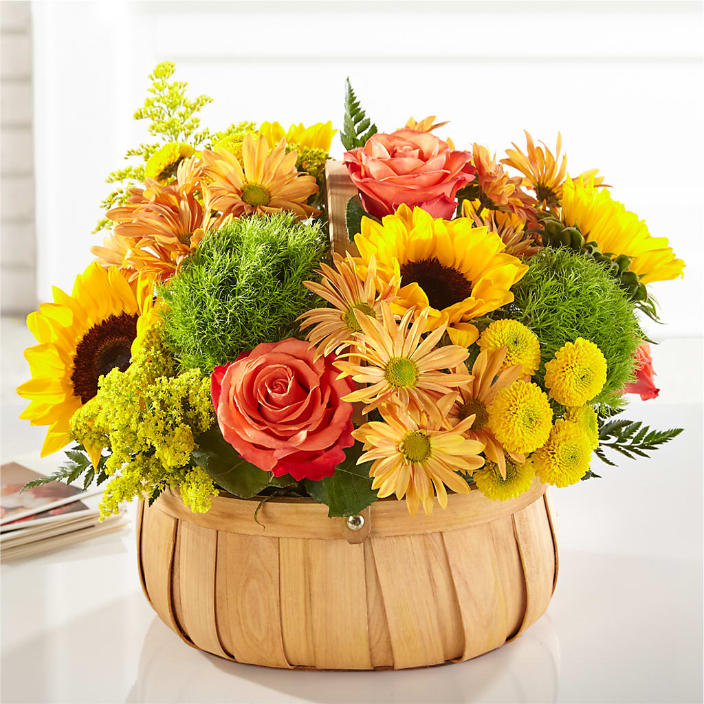 Harvest Sunflower Basket – Harris Teeter, Matthews NC