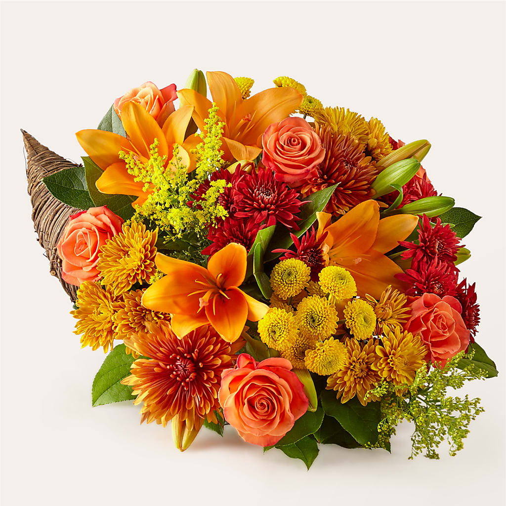 Feast of Color Cornucopia – Harris Teeter, Matthews NC