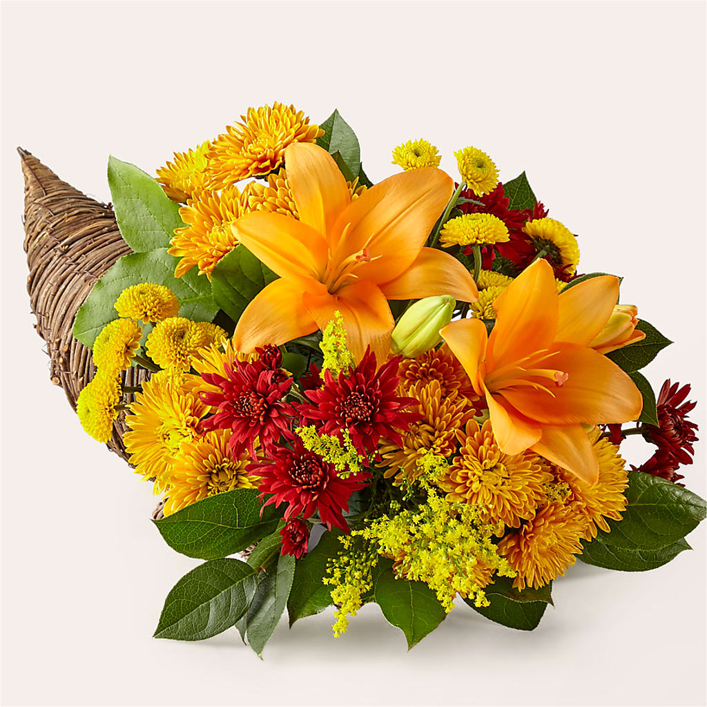 Feast of Color Cornucopia – Harris Teeter, Matthews NC