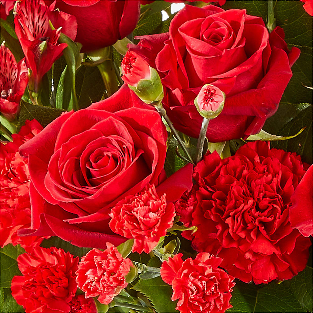 The Heartstrings Bouquet – Harris Teeter, Matthews NC