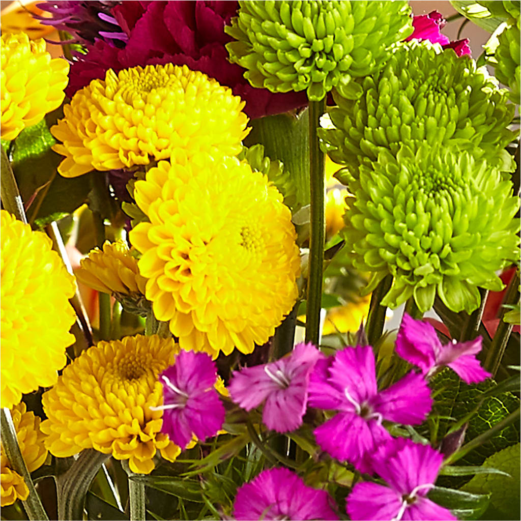 Bold & Bright – A Florist Original –  Harris Teeter, Matthews NC