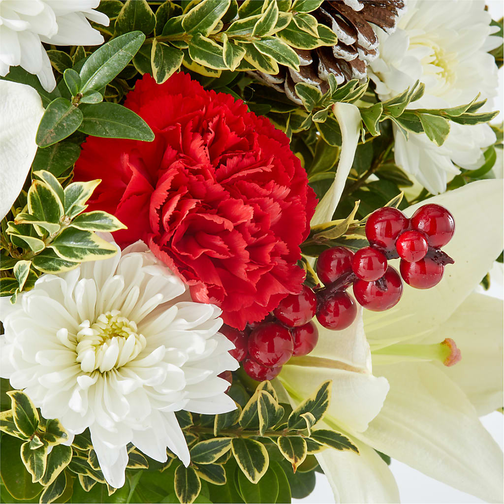Festive Moments Tree –  Harris Teeter, Matthews NC