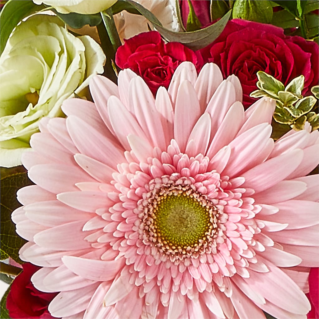 Too Cute Bouquet –  Harris Teeter, Matthews NC