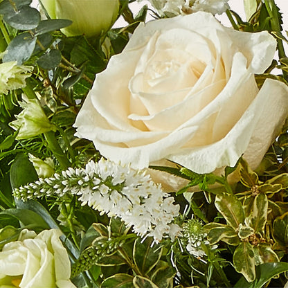 Cashmere Bouquet –  Harris Teeter, Matthews NC