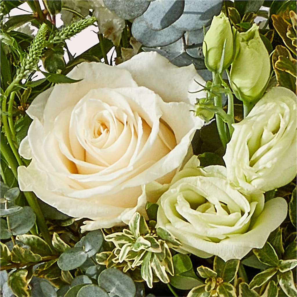 Cashmere Bouquet –  Harris Teeter, Matthews NC