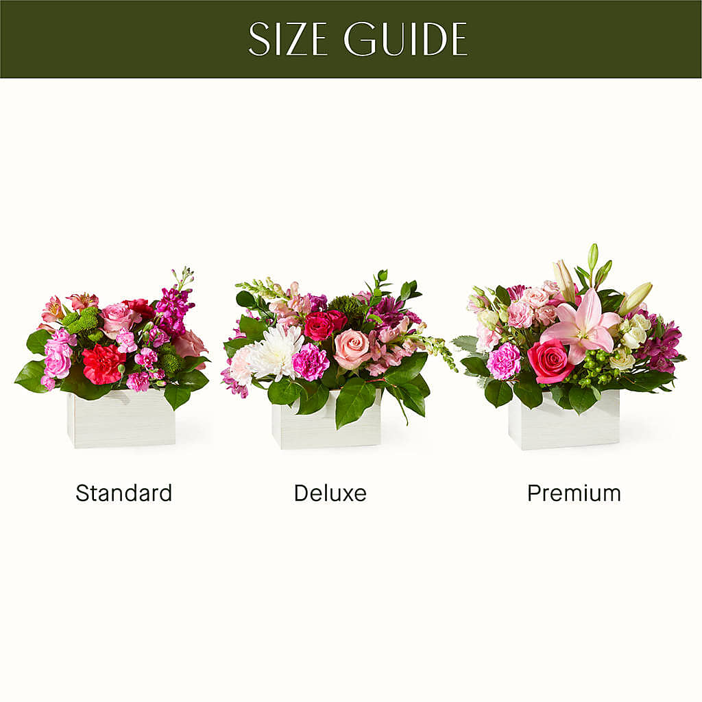 Sweetberry Box – A Florist Original –  Harris Teeter, Matthews NC