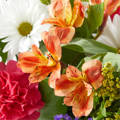 Oopsie Daisy Box Bouquet –  Harris Teeter, Matthews NC