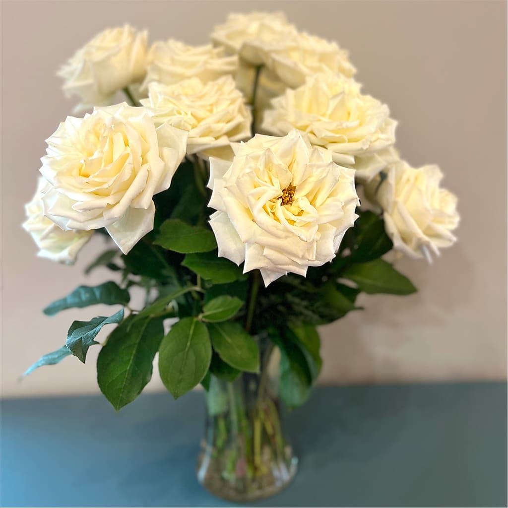 Long Stem Yellow Rose Bouquet –  Harris Teeter, Matthews NC