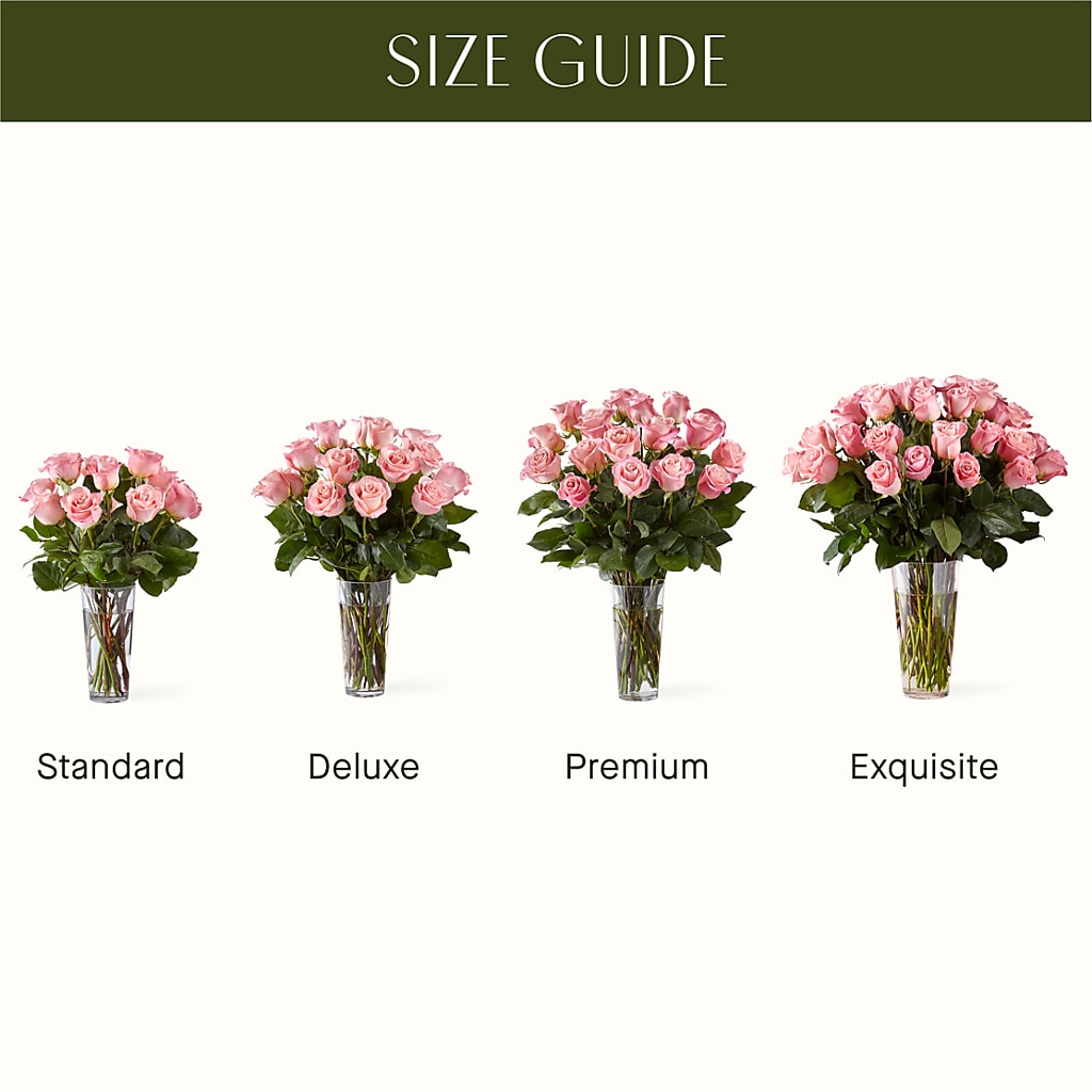 Long Stem Pink Rose Bouquet –  Harris Teeter, Matthews NC
