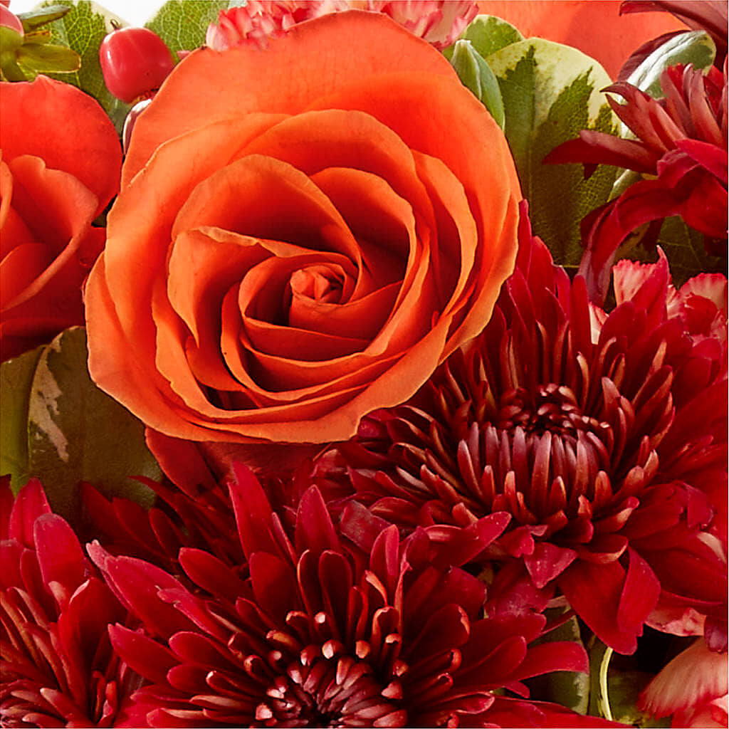 Autumn Air Pumpkin Bouquet –  Harris Teeter, Matthews NC