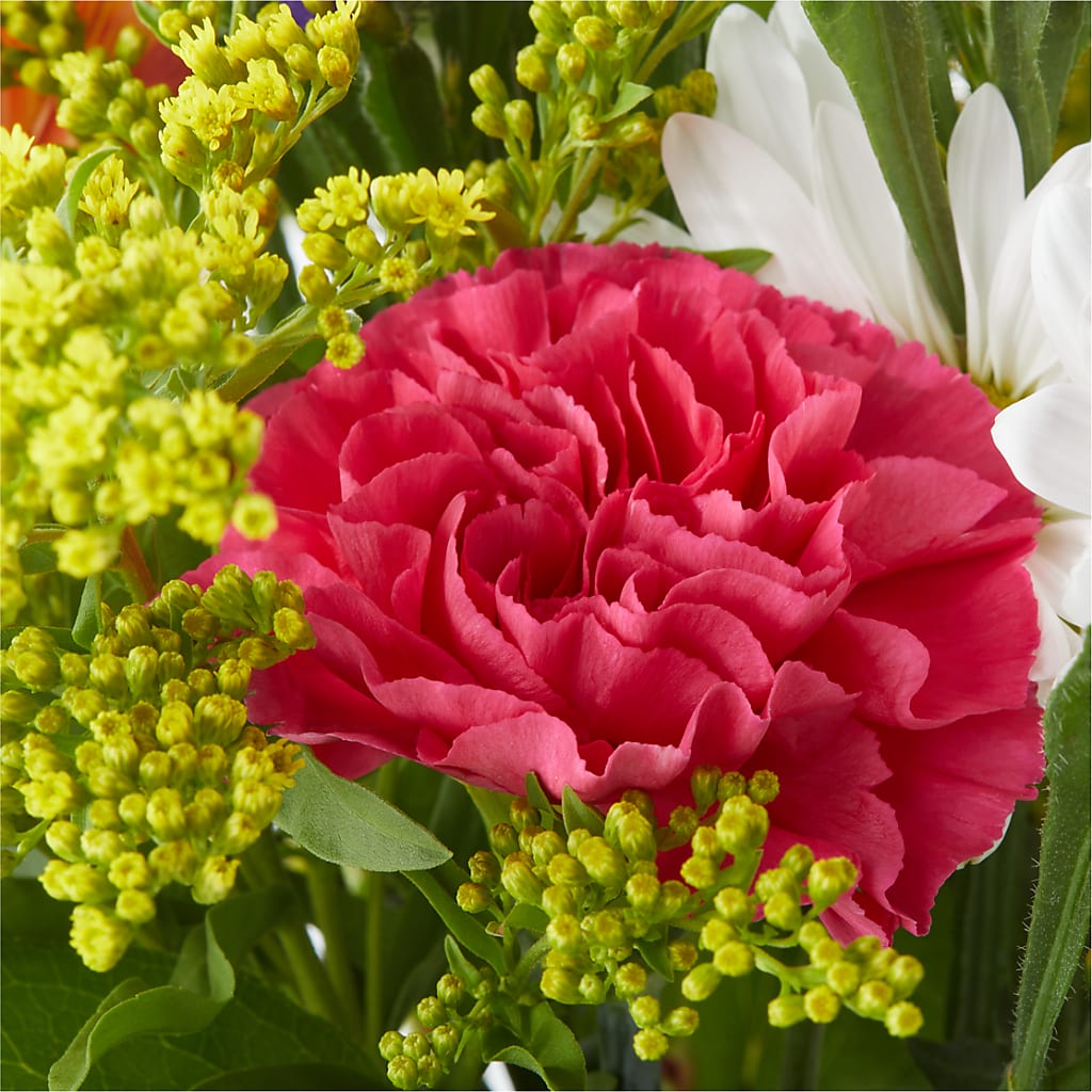 Oopsie Daisy Bouquet –  Harris Teeter, Matthews NC