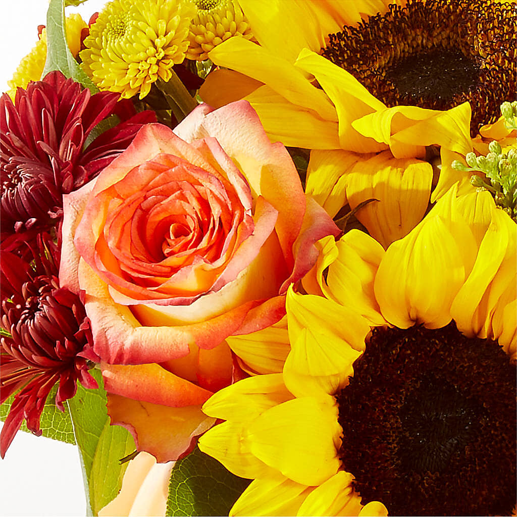 Golden Gourd Pumpkin Bouquet –  Harris Teeter, Matthews NC