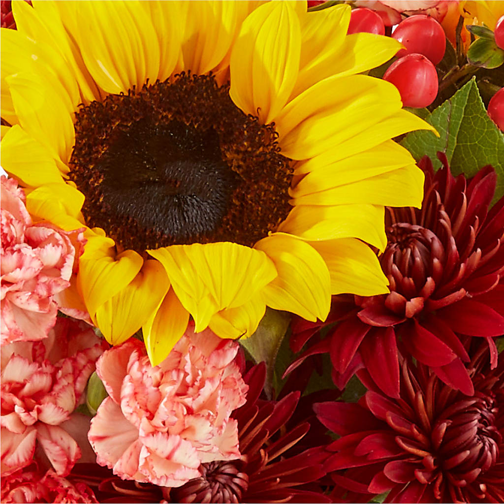 Fresh Cider Bouquet –  Harris Teeter, Matthews NC