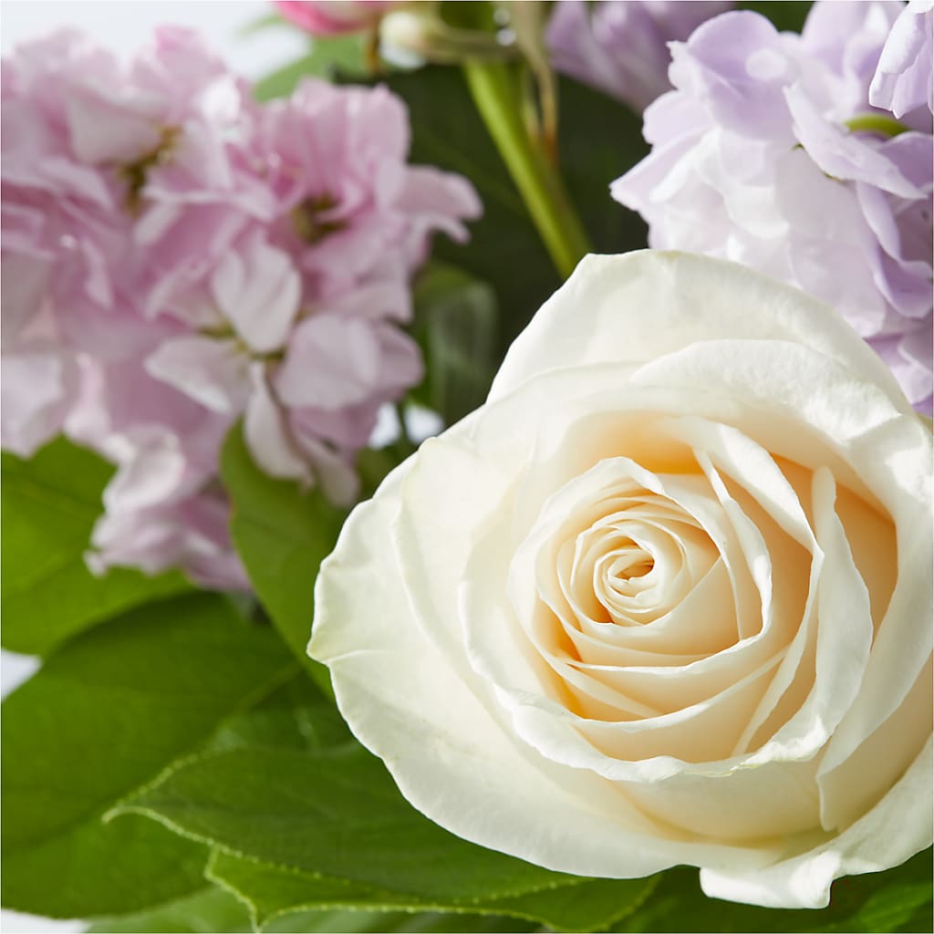 Springtime Spritz Bouquet –  Harris Teeter, Matthews NC