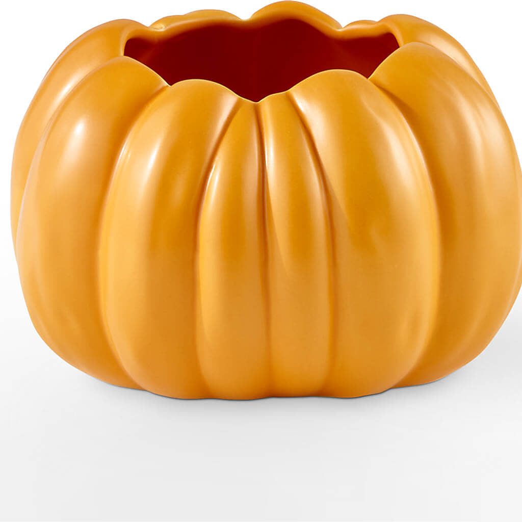 Golden Gourd Pumpkin Bouquet –  Harris Teeter, Matthews NC