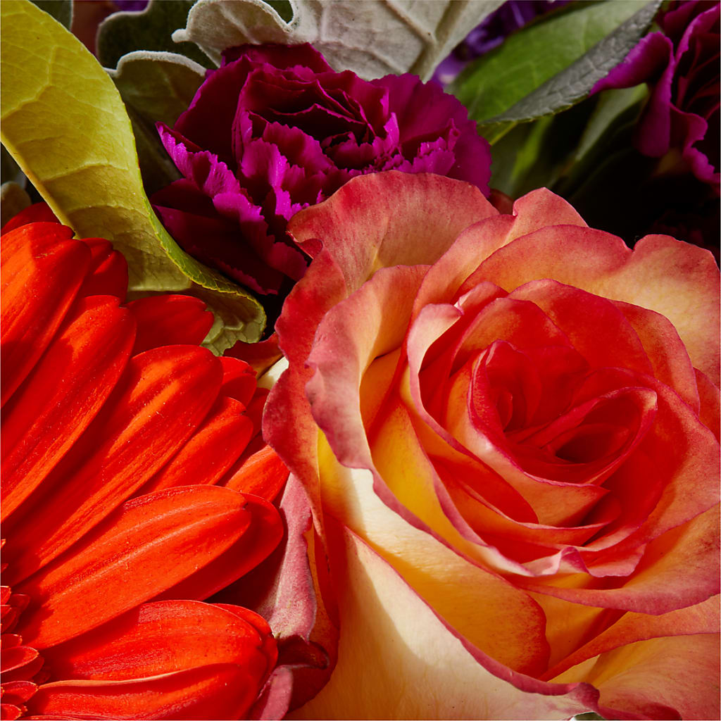 Sangria Bouquet –  Harris Teeter, Matthews NC