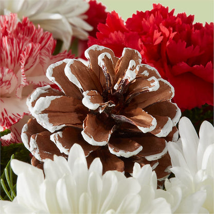 Candy Cane Lane Bouquet –  Harris Teeter, Matthews NC