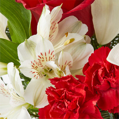 Holiday Season Bouquet –  Harris Teeter, Matthews NC
