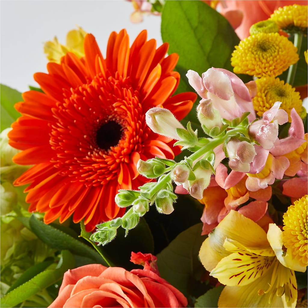 Autumn Sunshine Bouquet –  Harris Teeter, Matthews NC