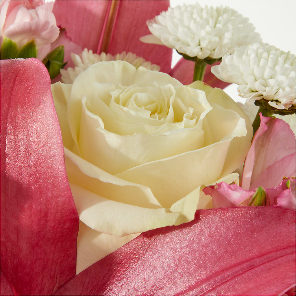 Piece of Cake Bouquet –  Harris Teeter, Matthews NC