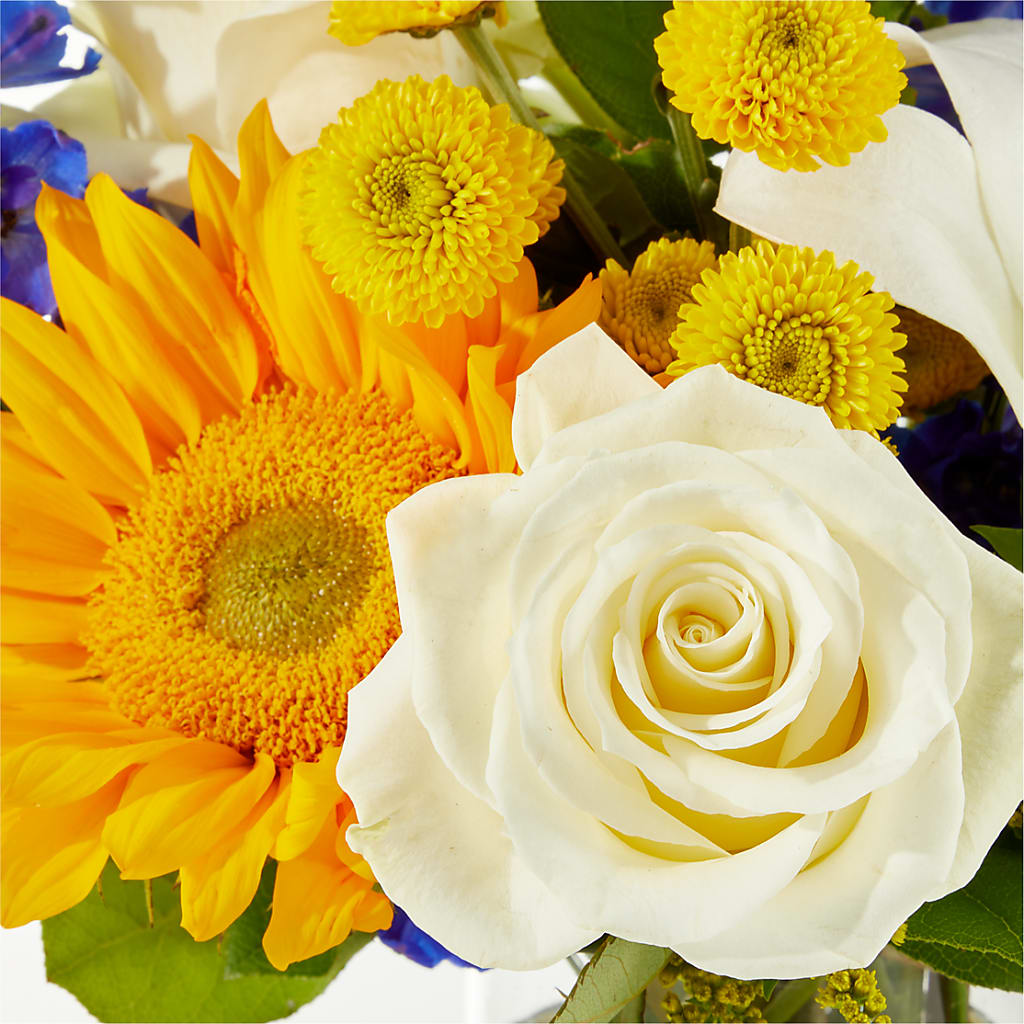 Stargazing Bouquet –  Harris Teeter, Matthews NC