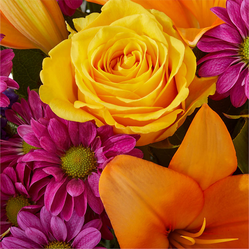 Colorful Visions Bouquet –  Harris Teeter, Matthews NC