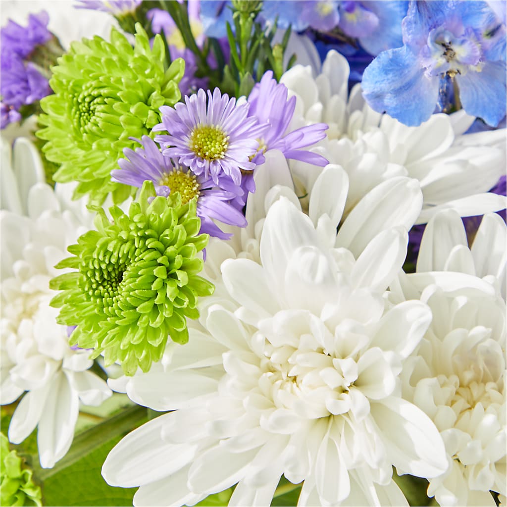 Genuine Gestures Bouquet –  Harris Teeter, Matthews NC