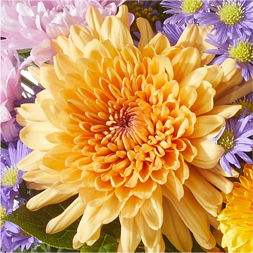 Countryside Bouquet –  Harris Teeter, Matthews NC