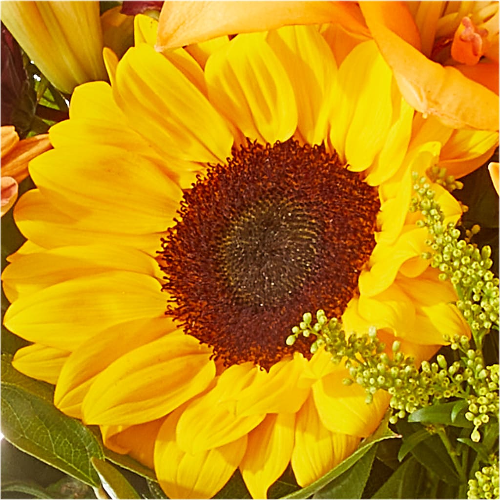 Seasons Change Bouquet –  Harris Teeter, Matthews NC