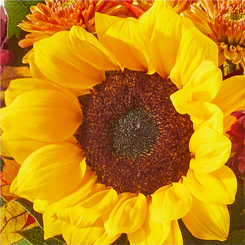 Sunny Side Bouquet –  Harris Teeter, Matthews NC