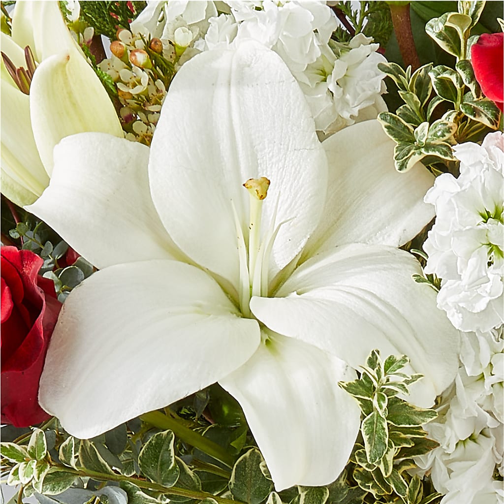 Twinkle Lights Bouquet –  Harris Teeter, Matthews NC