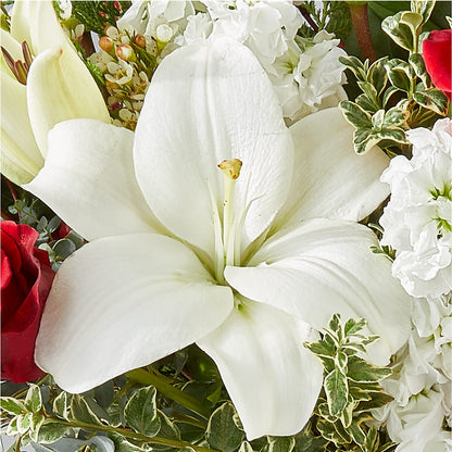 Twinkle Lights Bouquet –  Harris Teeter, Matthews NC