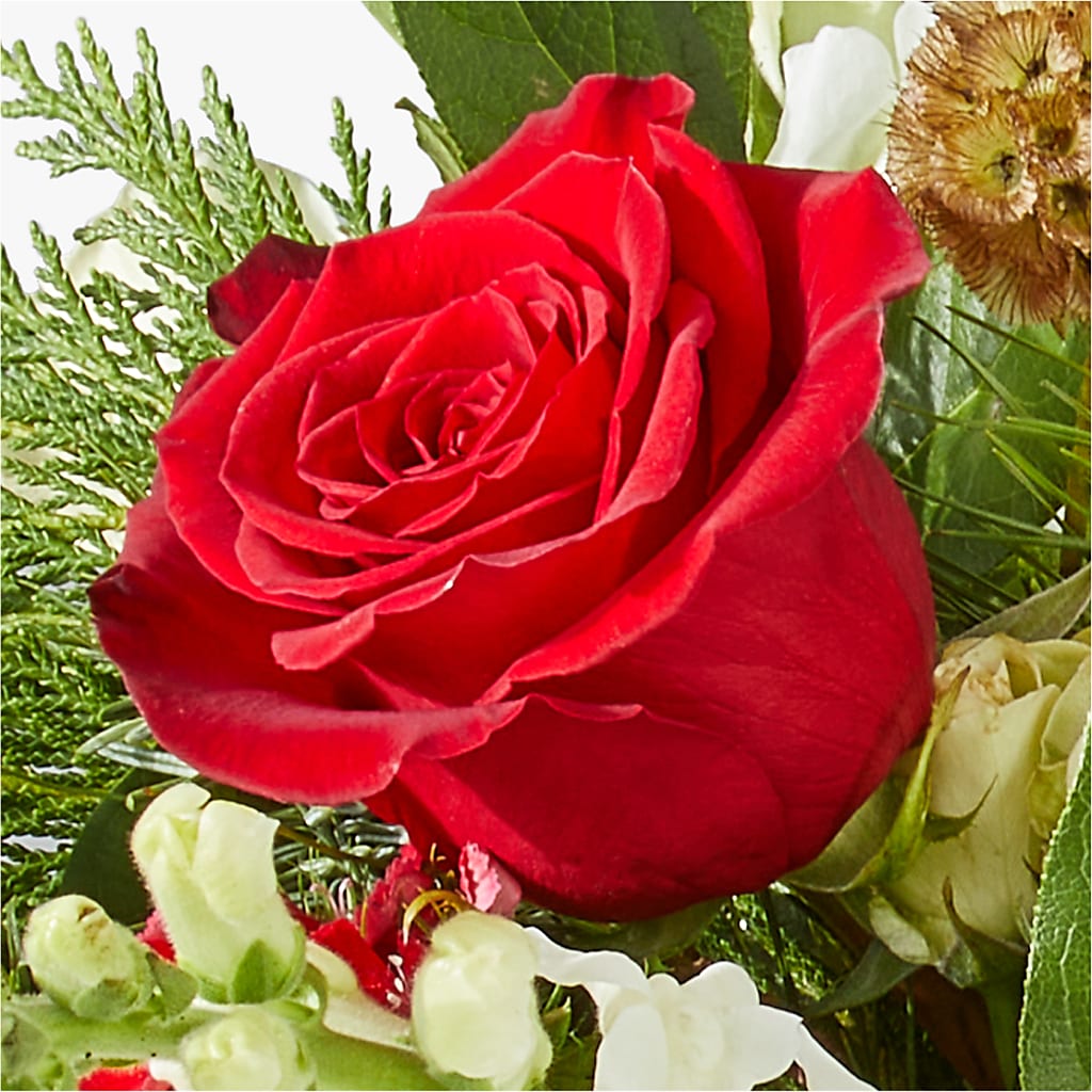 Deck the Halls Bouquet –  Harris Teeter, Matthews NC