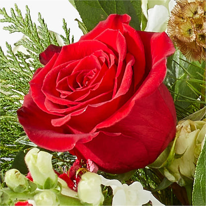 Deck the Halls Bouquet –  Harris Teeter, Matthews NC