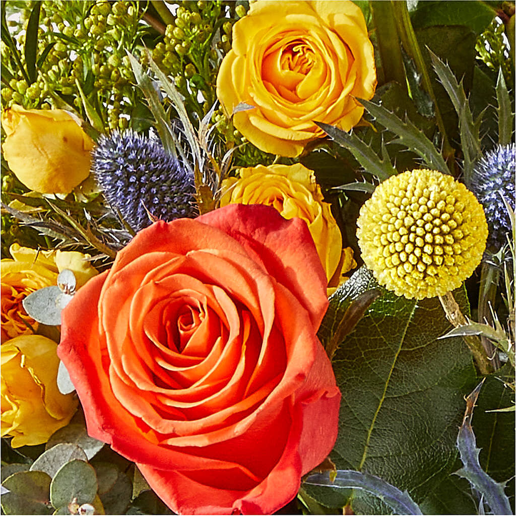 Disco Bouquet –  Harris Teeter, Matthews NC