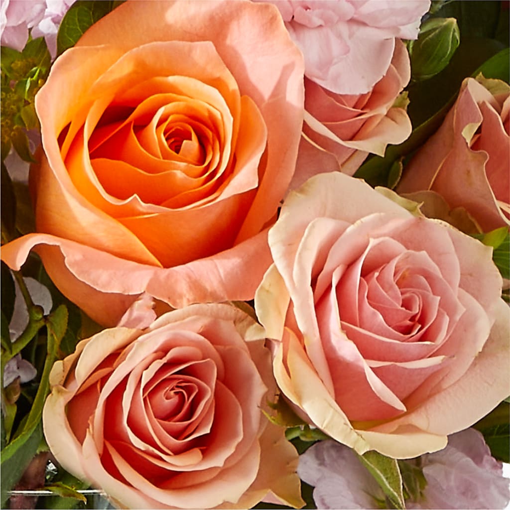 French Market Bouquet –  Harris Teeter, Matthews NC