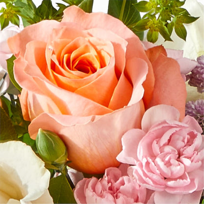 French Market Bouquet –  Harris Teeter, Matthews NC