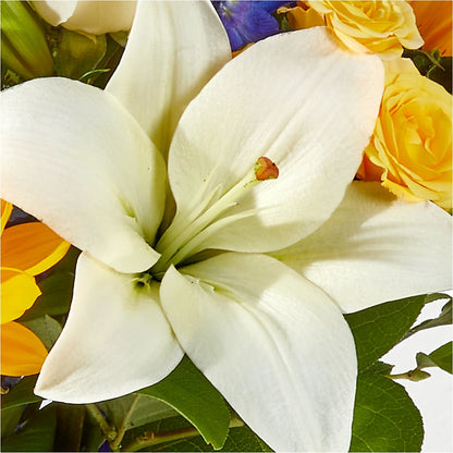 Wonderfully Sunny Bouquet –  Harris Teeter, Matthews NC