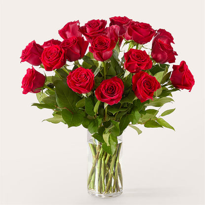 The One Red Rose Bouquet –  Harris Teeter, Matthews NC