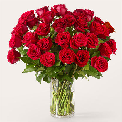 The One Red Rose Bouquet –  Harris Teeter, Matthews NC