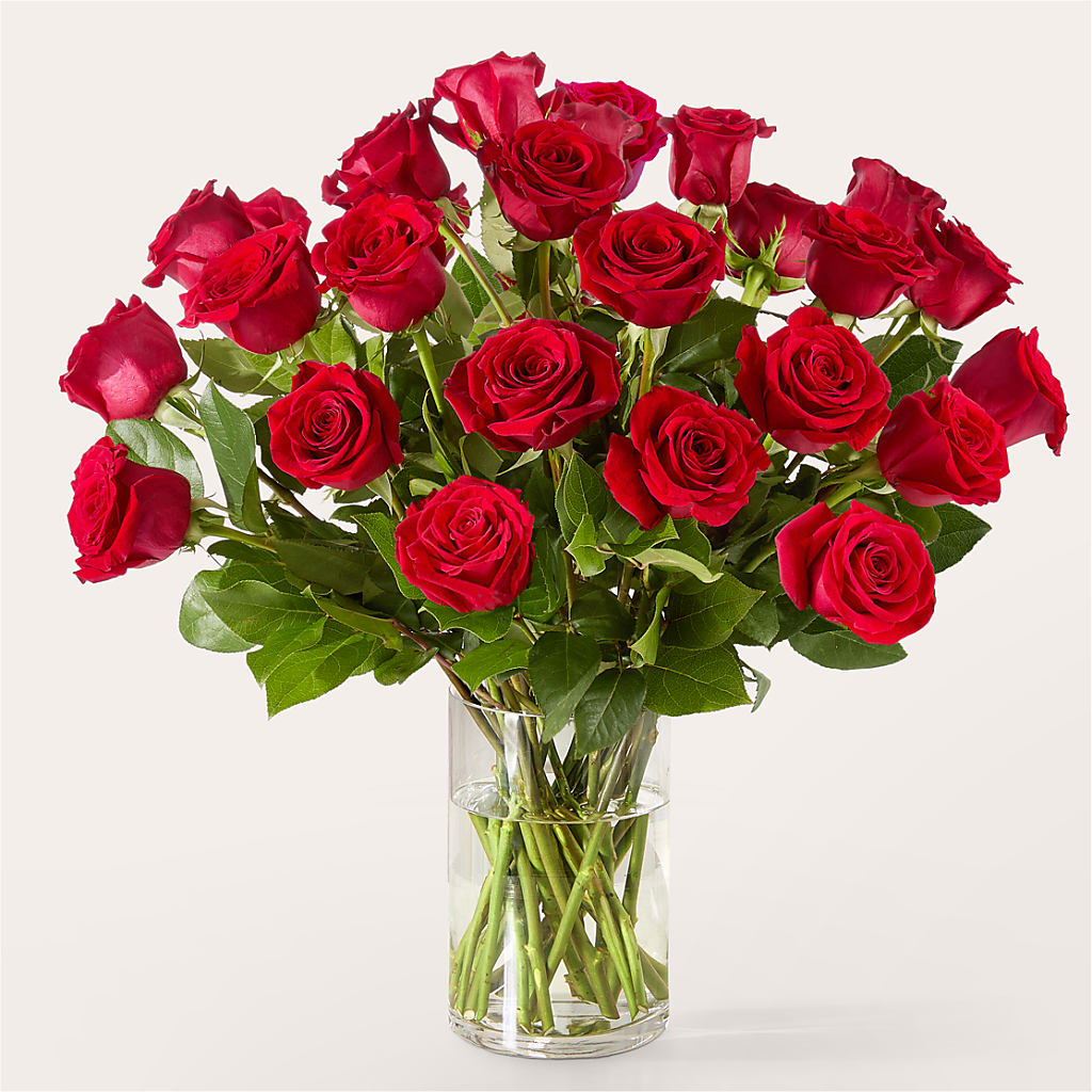 The One Red Rose Bouquet –  Harris Teeter, Matthews NC